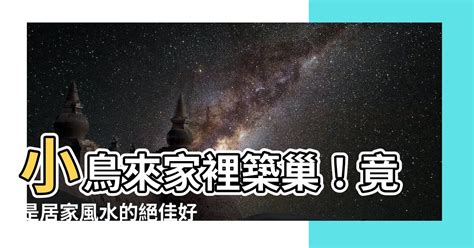 鳥來家裡築巢 風水|【鳥在家裡築巢】鳥兒在家裡築巢預示什麼？風水專家。